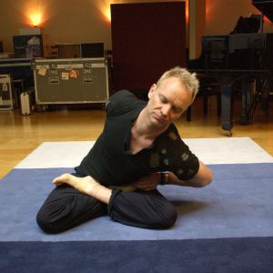 "Det var ett lustigt sätt att rädda regnskogen på Sting." Vilka frågor skulle du vilja ha svar på av Sting? Sting på Yogamatta.