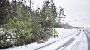 Stormen Alfrida skar av elförsörjningen för runt 10 000 åländska hushåll den 2 januari. De första veckorna fokuserade arbetet på elförsörjning. Det egentliga röjningsarbetet i skogarna kom igång på allvar först i februari. Stormen välte många träd över körbanan.