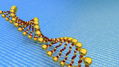 dna, arvsmassa