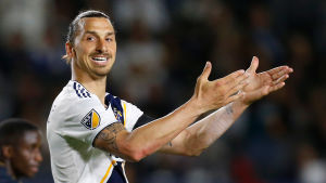 Zlatan Ibrahimovic tackade för sig i landslaget efter EM 2016. Zlatan Ibrahimovic.