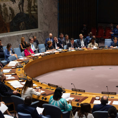 FN:s säkerhetsråd samlat den 22 augusti 2019.