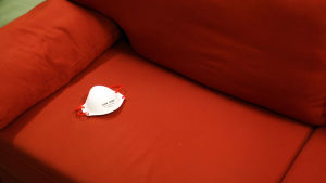 Home- ja kosteusvauriosairaudet ovat yleinen ongelma.