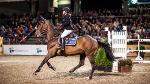 Tallinnan Horse Showssa