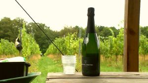 Gårdens mousserande vin tillverkas med champagnemetoden och kostar därefter. flaska