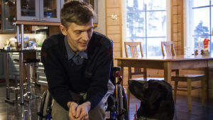 Mika Savola med sin hund Jessie. En svart labrador sitter bredvid en man i rullstol. De ser varandra i ögonen.