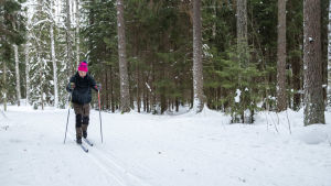 vihreiden pj Pekka Haavisto hiihtää