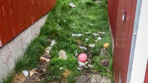 Mellan dessa två båthus har turister "etablerat" ett avträde. En liten gränd mellan två hus där skräp, toalettpapper och avföring finns.