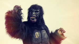 Galaxin gorilla
