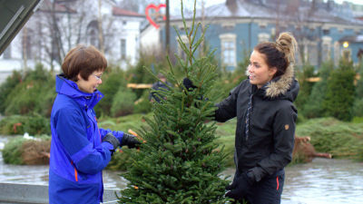 Inger Ahlnäs och Olivia Lill köpte en julgran i Jakobstad för 70 euro.