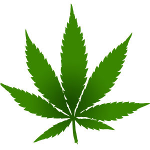 kannabis