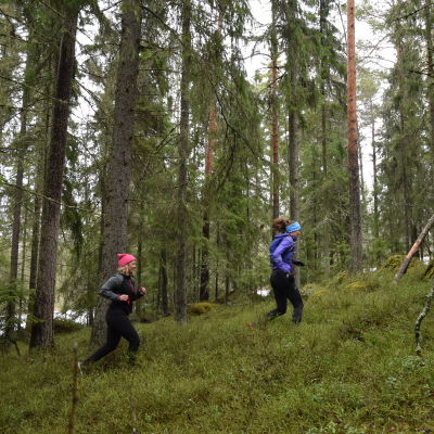 Två kvinnor i löparkläder som springer på en mossig granskogsbacke.