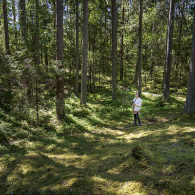 Ritva Kovalainen står mitt i en barrskog.