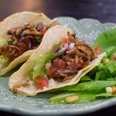 Portion med mjuka tacos med syrsor och mjölbagge larver