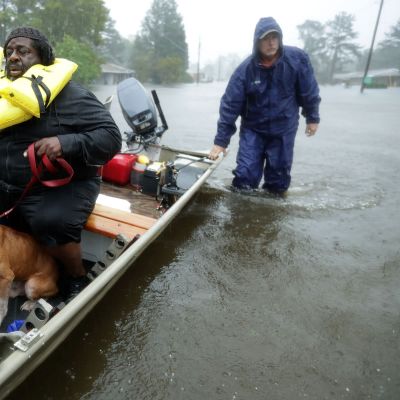 Frivilliga hjälparbetare evakuerar invånare och deras sällskapsdjur (här en hund) i New Bern, North Carolina