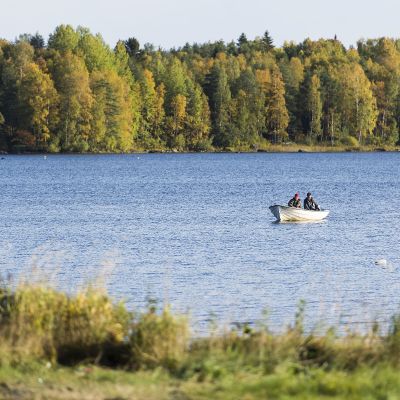 Vene Lestijärvellä.