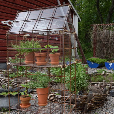 Ett litet örtväxthus byggt av armeringsjärn och pleciglas med fem terrakottakrutor med örter i.