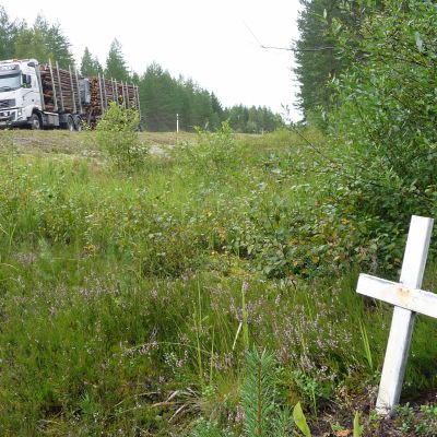 Kaksi puista ristiä maatien varressa