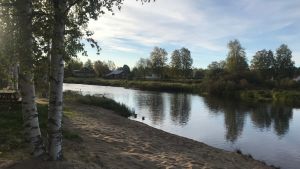 Heimforsen i Pedersöre hör till de ställen där uttern trivs. Heimforsen i Lappfors