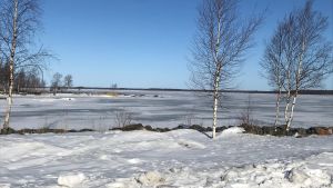 Fiskodlingskassarna är tänkta att placeras på öppet vatten utanför skärgården. Fiskodlingskassarna är tänkta att placeras på öppet vatten utanför skärgården