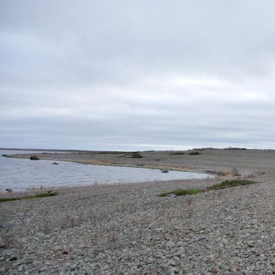 Strandlinje på Jurmo i Korpo skärgård.