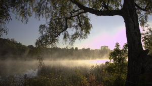 Porvoonjoki aamu-usvassa.