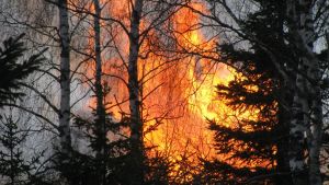 Det är varmt och skönt en stund men sedan blir det värre. Påskbrasa vid Svedjehamn, Björkö