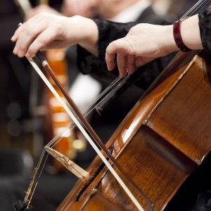 RSO
