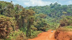 Mängder av regnskog skövlas i Amazonas. Amazon Ruropolis BR163 sukeltaa sademetsaan