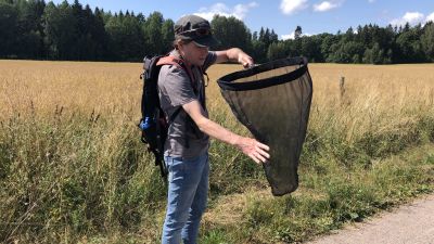 Man med fjärilshåv.