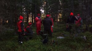 Är det tomtar? Nej, det är bara Johannas jägarpolare i Närpes. Johanna Borg och andra jägare ute i skogen.