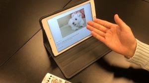 En sådan hund kallade de finska fosterföräldrarna sitt "barn". David pekar ut hundrasen hos de finska fosterföräldrarna