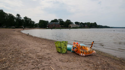 Bild av badleksak i form av en tiger vid vattenbrynet på en strand.