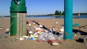 Fåglar och råttor kan ibland samarbeta, som på den här Helsingforsstranden där fåglarna spritt ut skräpet från en överfull skräpkorg. Skräp runt en skräpkorg