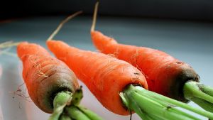 Skönhetsskadade morötter kan vara en ingrediens i Loops mat. Morötter