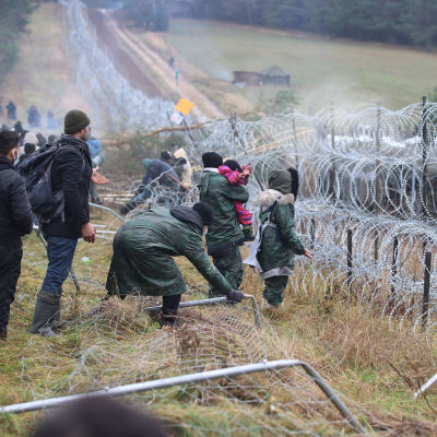 Människor vid taggtrådsstängsle på gränsen mellan Belarus och Polen. 