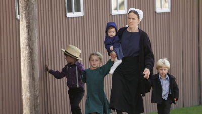 Amishfolk