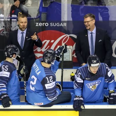 Jukka Jalonen Leijonat