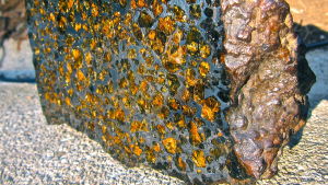 Tvärsnitt av Brahinmeteoriten. Nej, det är inte guld, utan olivinmineral inkapslat i järn. Tvärsnitt av Brahinmeteoriten.