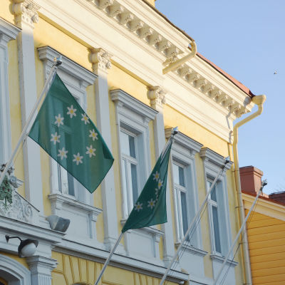 Gröna flaggor med vitsippor vajar utanför ett gammalt gult stadshus.