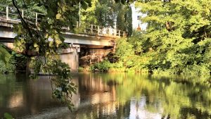 Bron vid Landsbro i Karis har sett sina bästa dagar. En bro över en å, sedd från en grönt buskage på en sidan. Bron ser rostig och sliten ut. Ingen trafik.