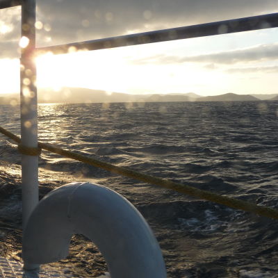 Utsikt från båten Malla