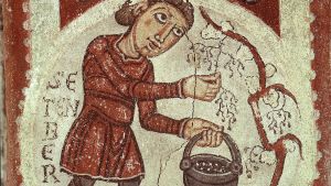 Vinodling var vanligt i England på medeltiden. På bilden en romansk relief från 1100-talet Fresk från 11-talet som föreställer skördande av vin.