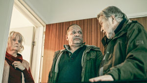 Kai (Henry Hanikka) hakeutuu kollegansa (Kristiina Halkola) kotiovelle. Nainen ja kaksi miestä seisovat ovensuussa sarjassa Myrskyn jälkeen.