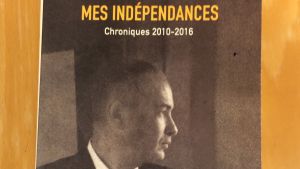 Mies kirjankannessa katsoo sivulle