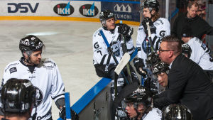 Selin leder ett rutinerat svartvitt manskap. Ari-Pekka Selin coachar TPS, februari 2017.