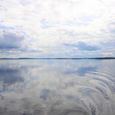 Pielinen heinäkuussa 2019.