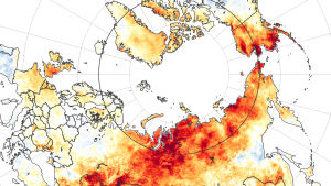 En NASA-karta beskriver hur mycket varmare det var i somras. NASA-karta över värmebölja i Sibirien 19-20.6.2020