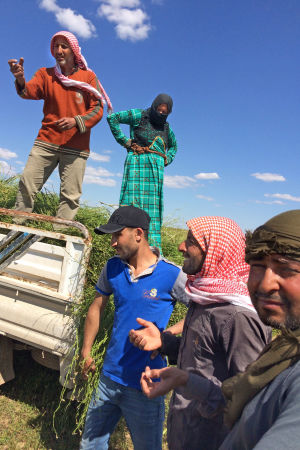 - Fri marknad och sämre priser. Vi har inte råd med fotogen längre. Situationen är svår för befolkningen i norra Syrien. Skördefolk i Syrien.