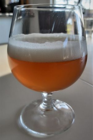 Ett glas hemlagad indian pale ale som blir drickbar på tre veckor. Ett glas bärnstensfärgat öl.