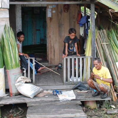 Största delen av barnarbetarna i Indonesien jobbar på palmoljeodlingar. De bor i fattiga byar som ofta omges av oljepalmer.